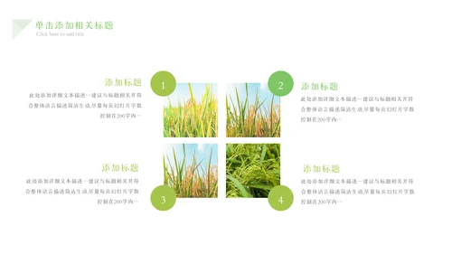 绿色农业生产春耕三农乡村振兴稻田水稻PPT