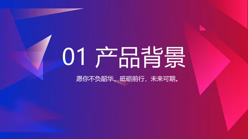 大气时尚品牌公司产品介绍宣传通用PPT