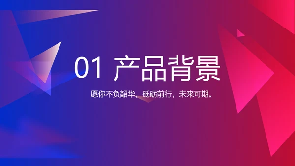 大气时尚品牌公司产品介绍宣传通用PPT