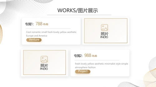 简约大气公司产品介绍宣传通用PPT