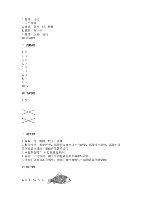 教科版一年级下册科学期末测试卷【能力提升】.docx