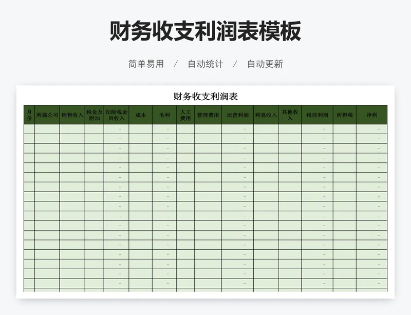 财务收支利润表模板