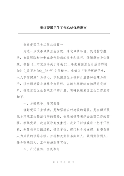 街道爱国卫生工作总结优秀范文.docx