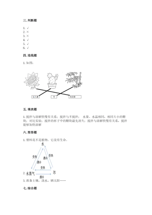 教科版科学一年级上册第一单元《植物》测试卷带答案（能力提升）.docx