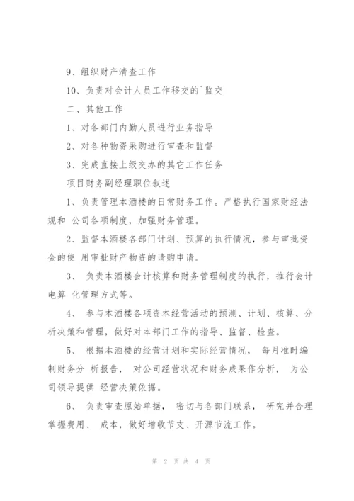 项目财务副经理岗位职责.docx