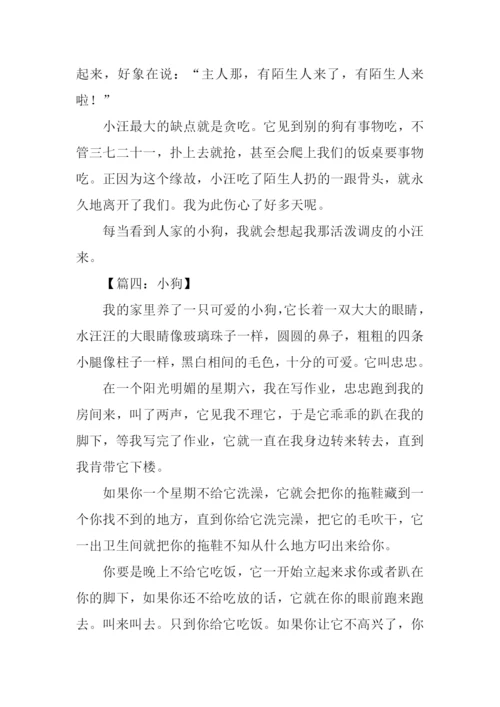 关于小狗的作文350字.docx