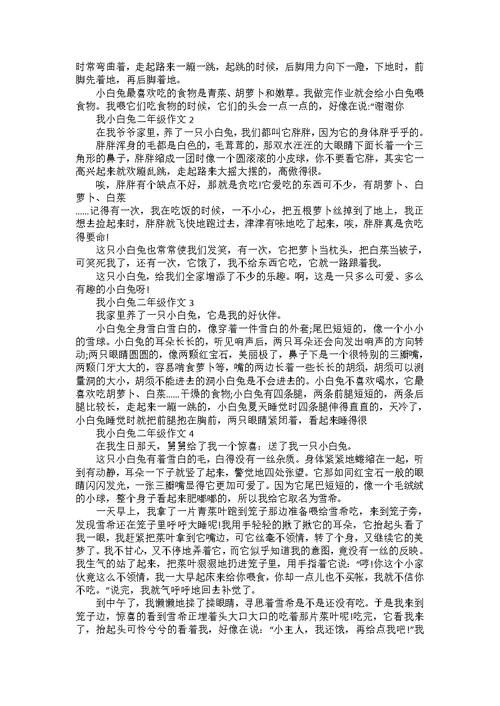 公益小学生二年级作文