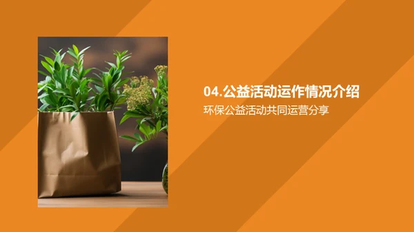 绿色双十一，环保之选