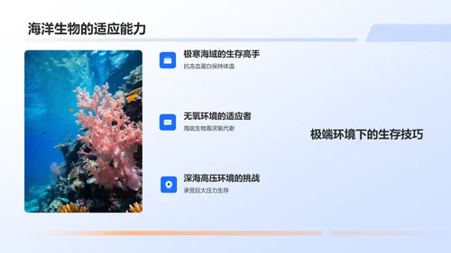 蓝色摄影风海洋生物知识科普PPT模板