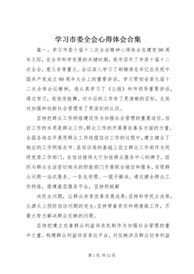 学习市委全会心得体会合集.docx