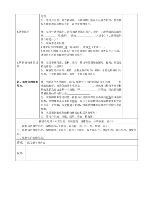 人教版（2024）生物七年级上册 1.3.3 植物体的结构层次（教案）