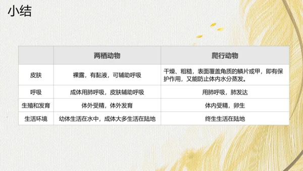 人教版 初中生物七年级上册2.2.2脊椎动物（两栖动物和爬行动物）课件(共21张PPT)+ 视频素材