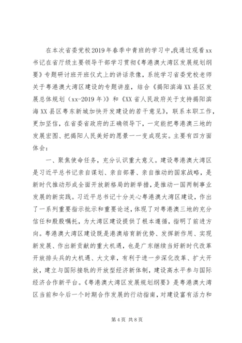 粤港澳大湾区规划学习心得两篇.docx