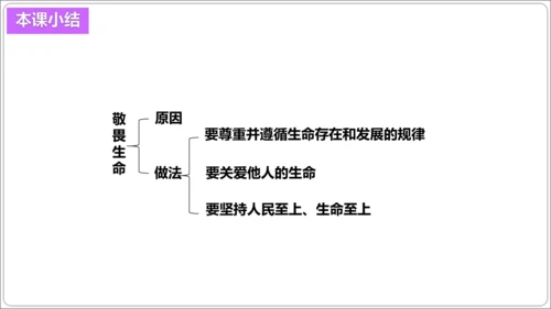 8.2敬畏生命【统编2024版七上道法精讲课堂（课件）】
