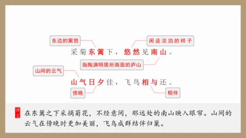 第26课《诗词五首》之《饮酒（其五）》《春望》课件