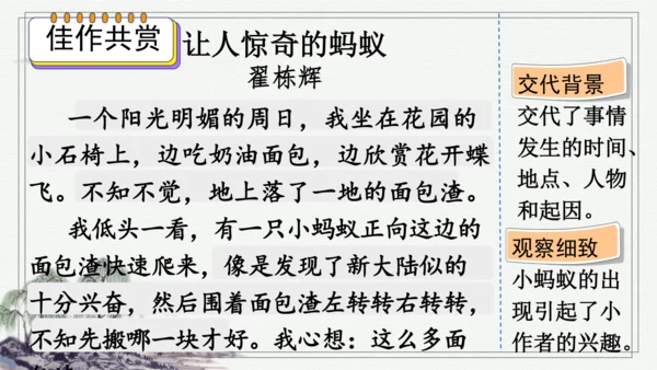 部编版三年级上册语文 习作：我们眼中的缤纷世界 课件