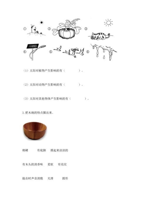 教科版二年级上册科学期末测试卷a4版打印.docx