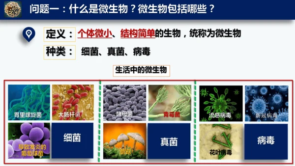 人教版生物七年级上册2.3.1《微生物的分布》课件(共22张PPT)+视频素材