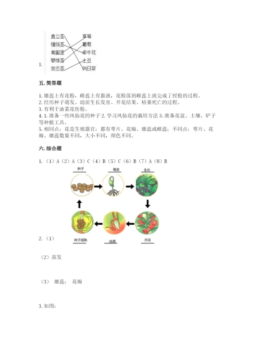 科学四年级下册第一单元植物的生长变化测试卷a4版.docx