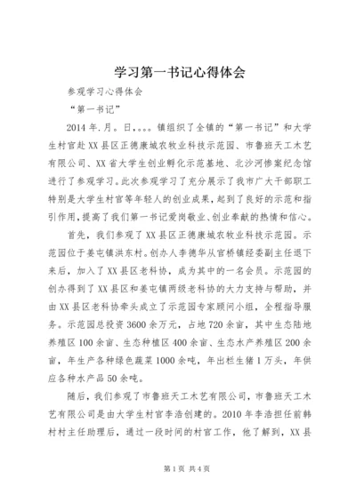 学习第一书记心得体会 (6).docx