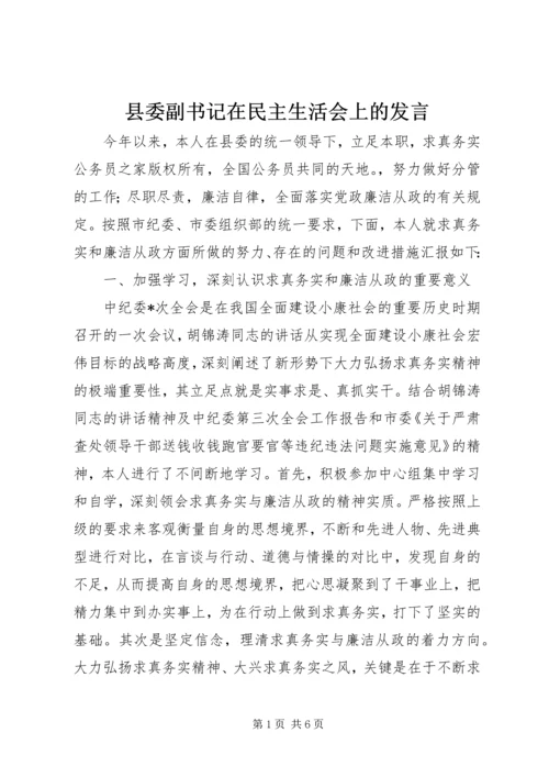 县委副书记在民主生活会上的发言.docx