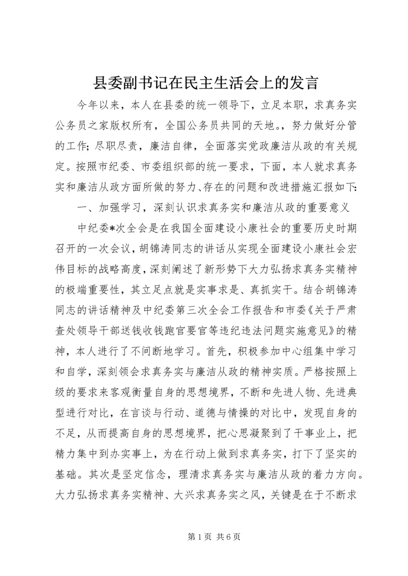 县委副书记在民主生活会上的发言.docx