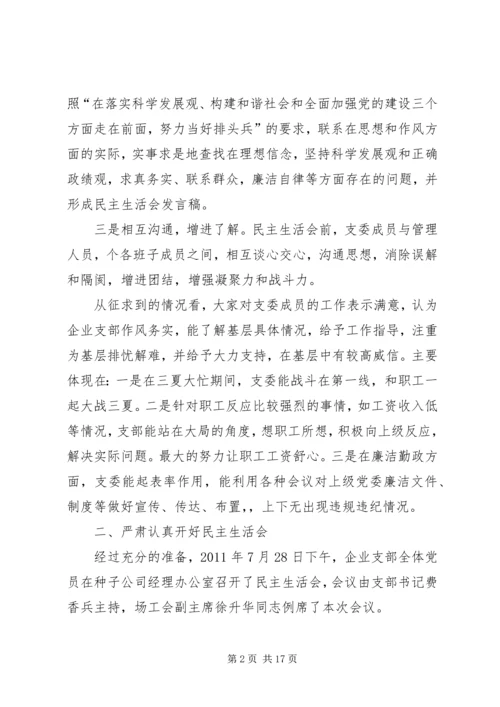 企业支部民主生活会小结.docx