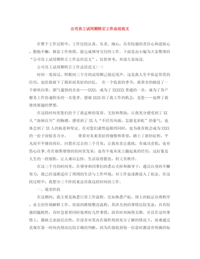 精编之公司员工试用期转正工作总结范文.docx