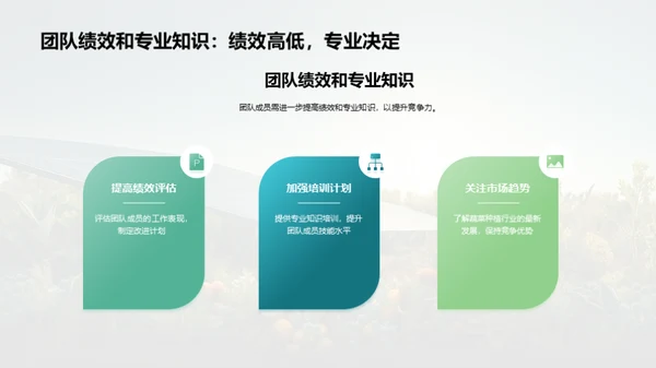 蔬菜种植创新升级