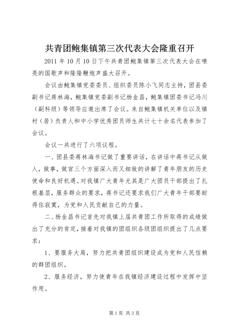 共青团鲍集镇第三次代表大会隆重召开.docx