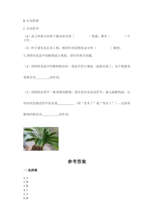 教科版科学四年级下册第一单元《植物的生长变化》测试卷【名师推荐】.docx