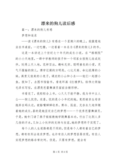 漂来的狗儿读后感 (2).docx