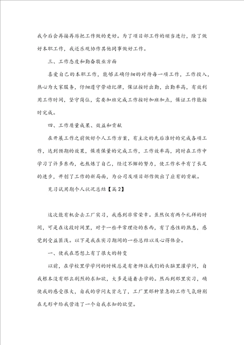 见习试用期个人情况总结