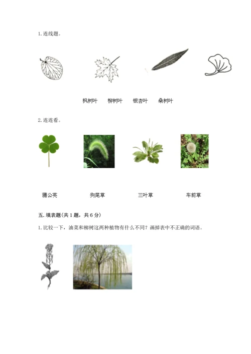 教科版科学一年级上册第一单元《植物》测试卷含答案（预热题）.docx