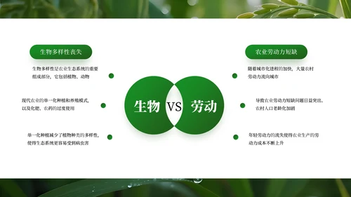 绿色商务农业发展通用PPT模板