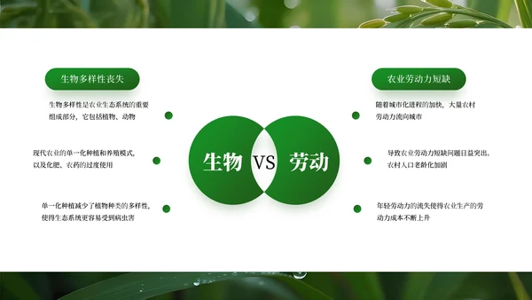 绿色商务农业发展通用PPT模板