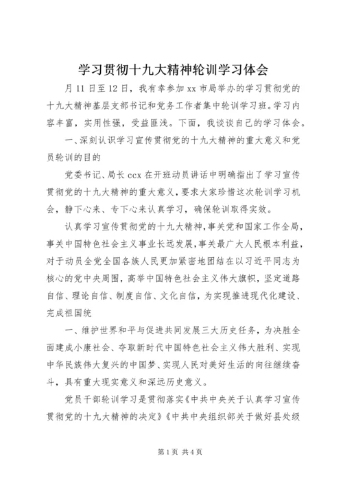 学习贯彻十九大精神轮训学习体会.docx