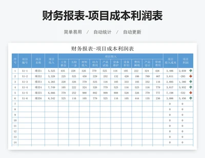 财务报表-项目成本利润表