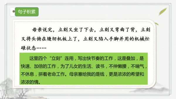 【核心考点】语文部编版五年级上册第六单元复习 课件
