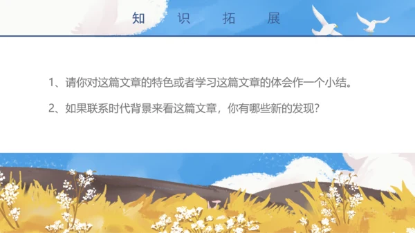 初中教师海天海燕教育教学课件PPT模板