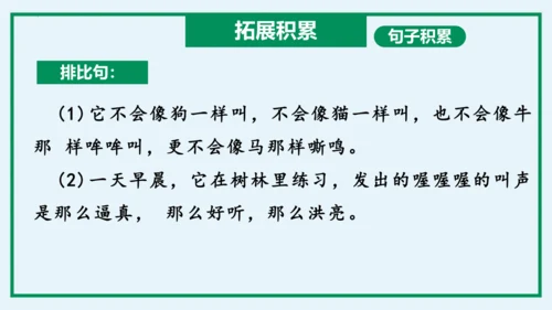 统编版语文三年级上册单元速记巧练系列第三单元（复习课件）