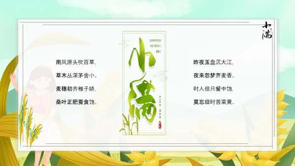 食粮丰收麦穗小满PPT模板