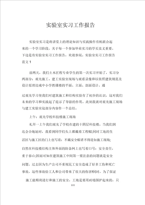 实验室实习工作报告