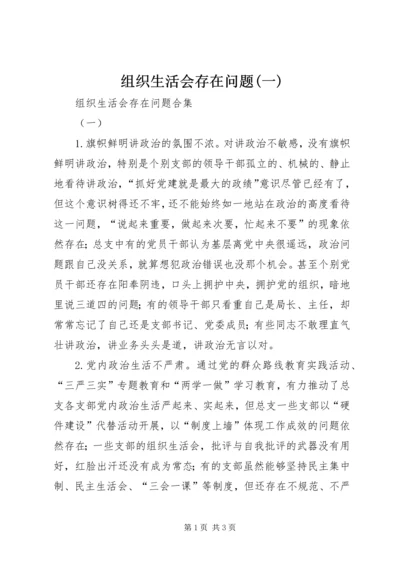 组织生活会存在问题(一).docx