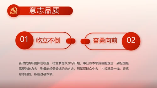 红色党支部党史学习教育工作总结PPT