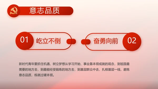 红色党支部党史学习教育工作总结PPT