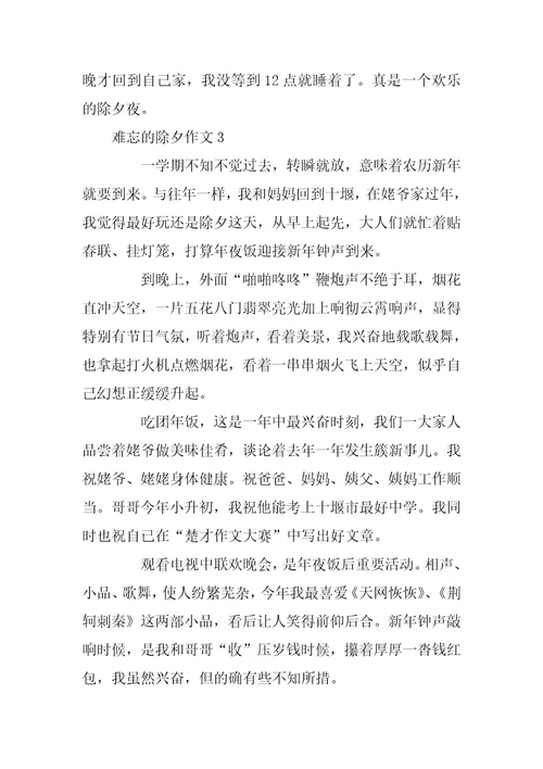 2023年难忘的除夕作文