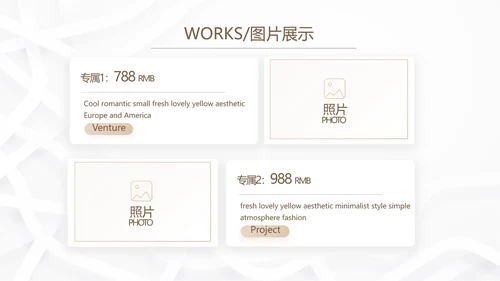 简约室内装饰设计方案工作总结PPT