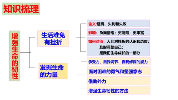 第九课   珍视生命复习课件（22张PPT）
