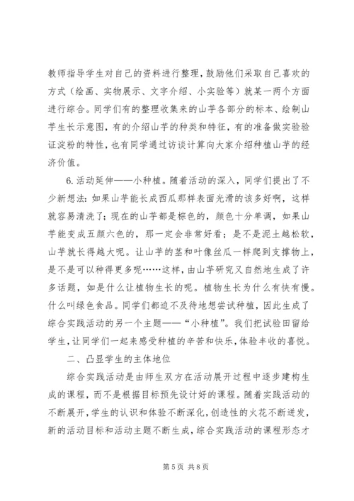 农村小学综合实践活动 (3).docx